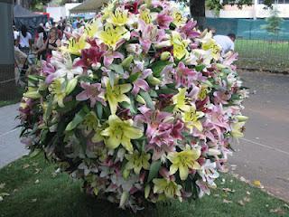 Weekend: Melbourne International Flower & Garden Show!