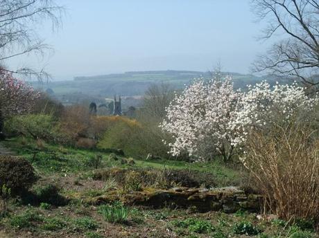 The Garden House, Devon