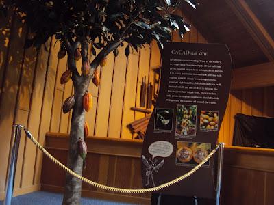 Sunday Travels- World Forestry Center