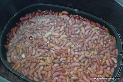 Red Beans and Rice