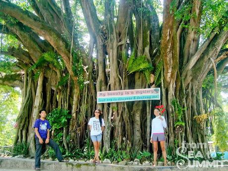 Cebu-Negros : 3D2N Hitchhiking Challenge