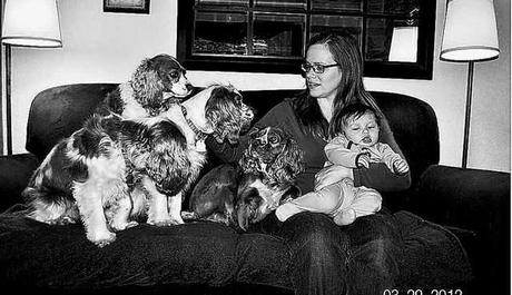 Canton Family Fights to Keep 4 Dogs