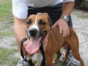 Raymond Jewelers’ Volunteer Ranch Rescue