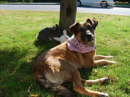 13 Awful Easter Bunny Family Photos