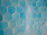 Blue honeycomb tiles, confused insects and kept them away from the prayers