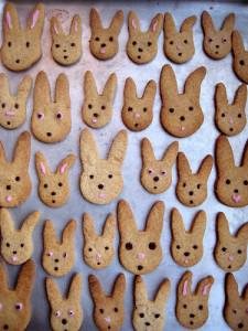 Bunny Cookies