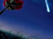 Fallen Star