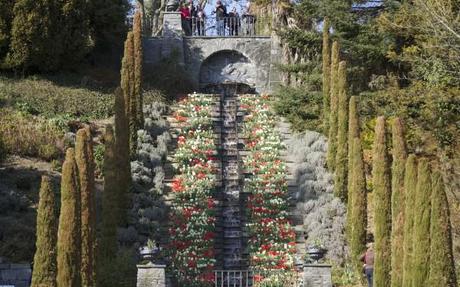 blumen insel mainau waterfall