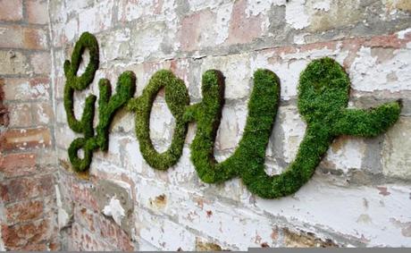 Is Your Neighbour a Jerk face? Green Moss Graffiti to the rescue…