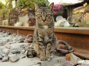 Things Know This Week