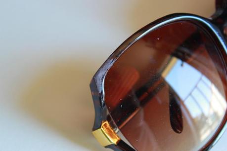 DIY Dolce & Gabbana Fall Sunglasses