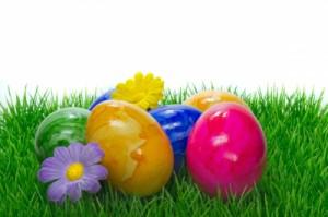 Easter Egg Hunt +Plus+ FREE Groceries