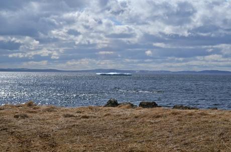 From a Train to a Dungeon in Bonavista