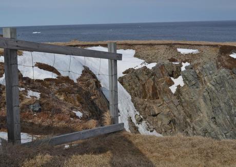 From a Train to a Dungeon in Bonavista