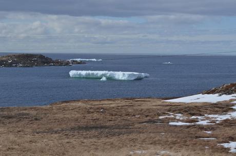 From a Train to a Dungeon in Bonavista