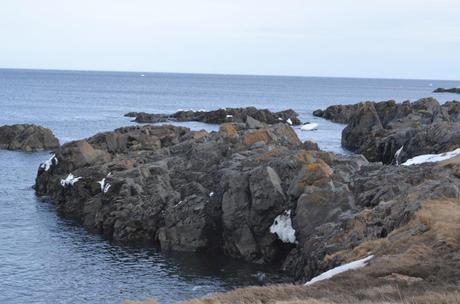 From a Train to a Dungeon in Bonavista