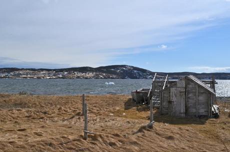 From a Train to a Dungeon in Bonavista