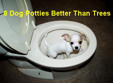 8 Dog Potties That Are Better Than Trees