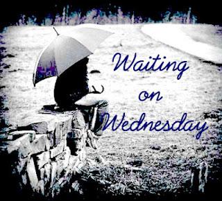 'Waiting On' Wednesday!
