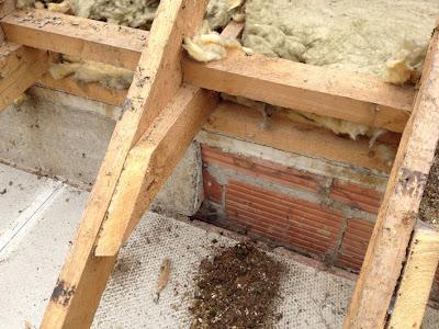 Strawbale Courses
