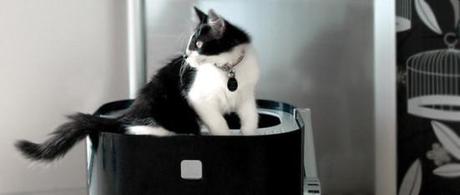 ModKat: Cats love the privacy of this litter box!: image via ModKo.com