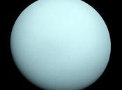 Looking Uranus