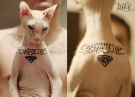 Shocking Tattooed Pets Blur the Line Between Art, Ownership and Abuse