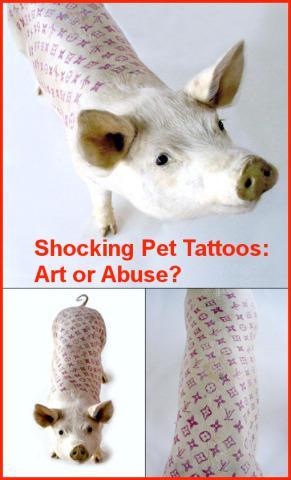 Shocking Tattooed Pets Blur the Line Between Art, Ownership and Abuse