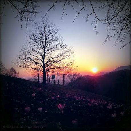 When the Sun Goes Down