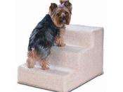 Doggy Steps--Pet Death Trap?