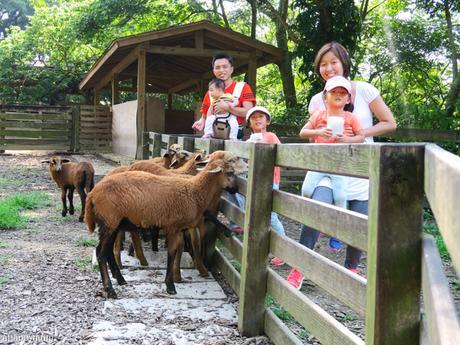 Farmstay experience in Flying Cow Ranch, Taiwan