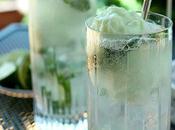 Lime Sherbet Mojito Float Cocktail
