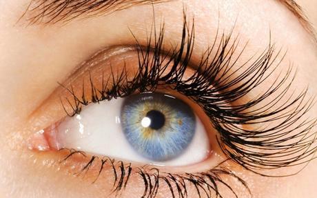 Your Eyes Can Make You Extremely Attractive If You Have Got The Right Eyelashes!