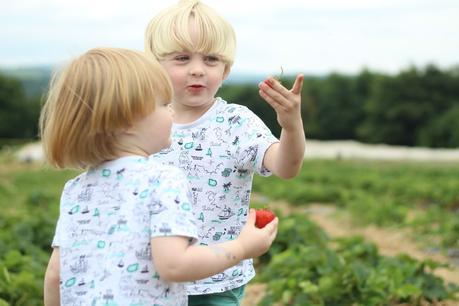 Strawberry Fields Forever...{The Ordinary Moments}