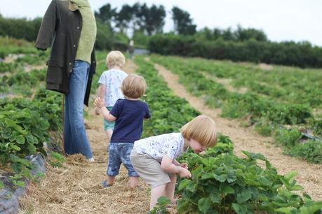 Strawberry Fields Forever...{The Ordinary Moments}