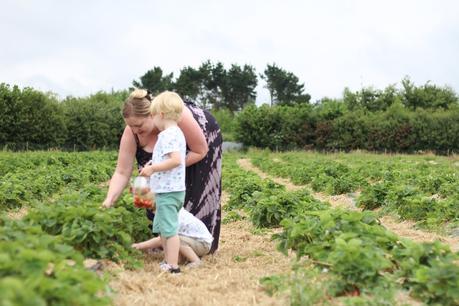 Strawberry Fields Forever...{The Ordinary Moments}