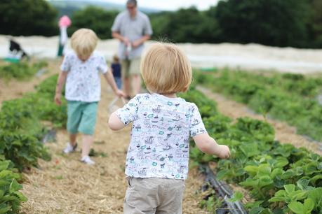 Strawberry Fields Forever...{The Ordinary Moments}