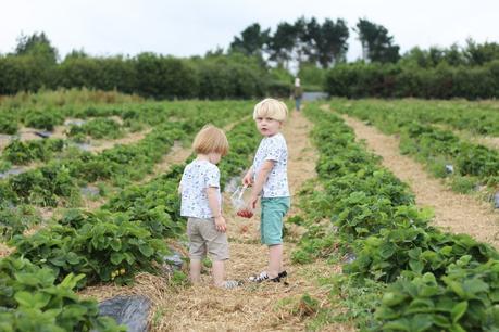 Strawberry Fields Forever...{The Ordinary Moments}
