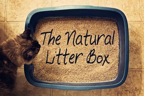 How to Keep Cat Litter in the Box | 5 Ways to keep cat littler