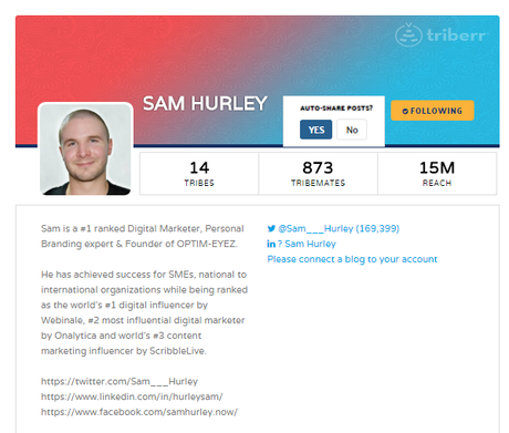 Triberr – How To Actually Use This Awesome Blogging Tool