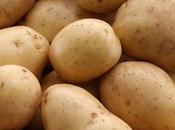 Today's Google Doodle Features Ekeblad