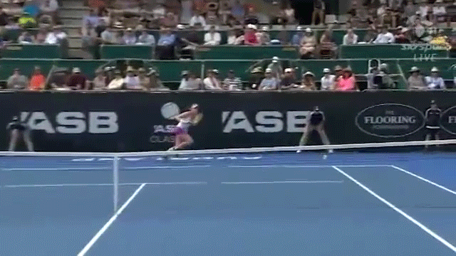  tennis GIF