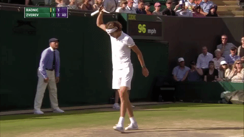 Wimbledon catch wimbledon racket zverev GIF