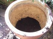 Going Potty Midwinter