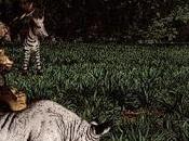 Julie Band Communication