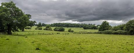 Buckinghamshire Country side (towards Whaddon)