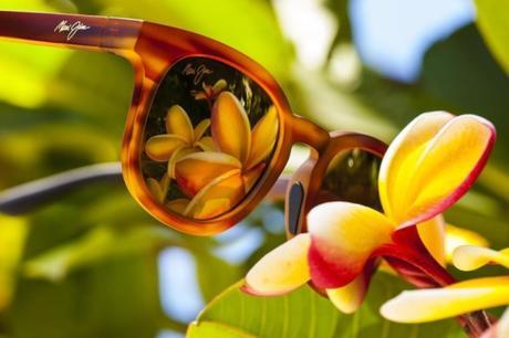 Discover the most original Maui Jim sunglasses