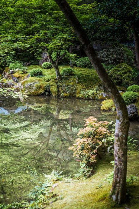 Reflections of Japan Reflections of Japan