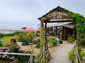 Review: Crab House Cafe, Weymouth