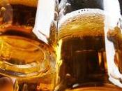 Let’s Raise Toast Bewilderment Days! Choose Your Brand Now!!